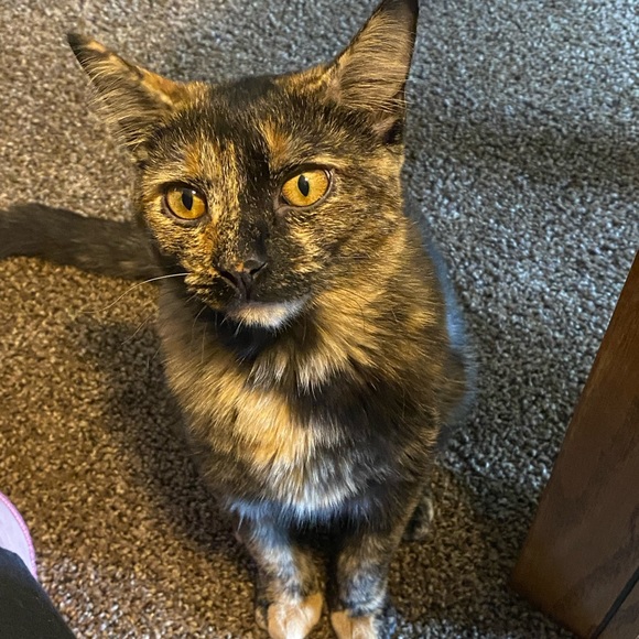 MEET MY PETS (: - Picture 15 of 16